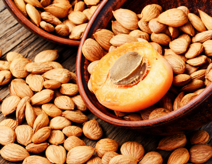 The Hidden Gem: Nutritional Benefits of Apricot Kernels