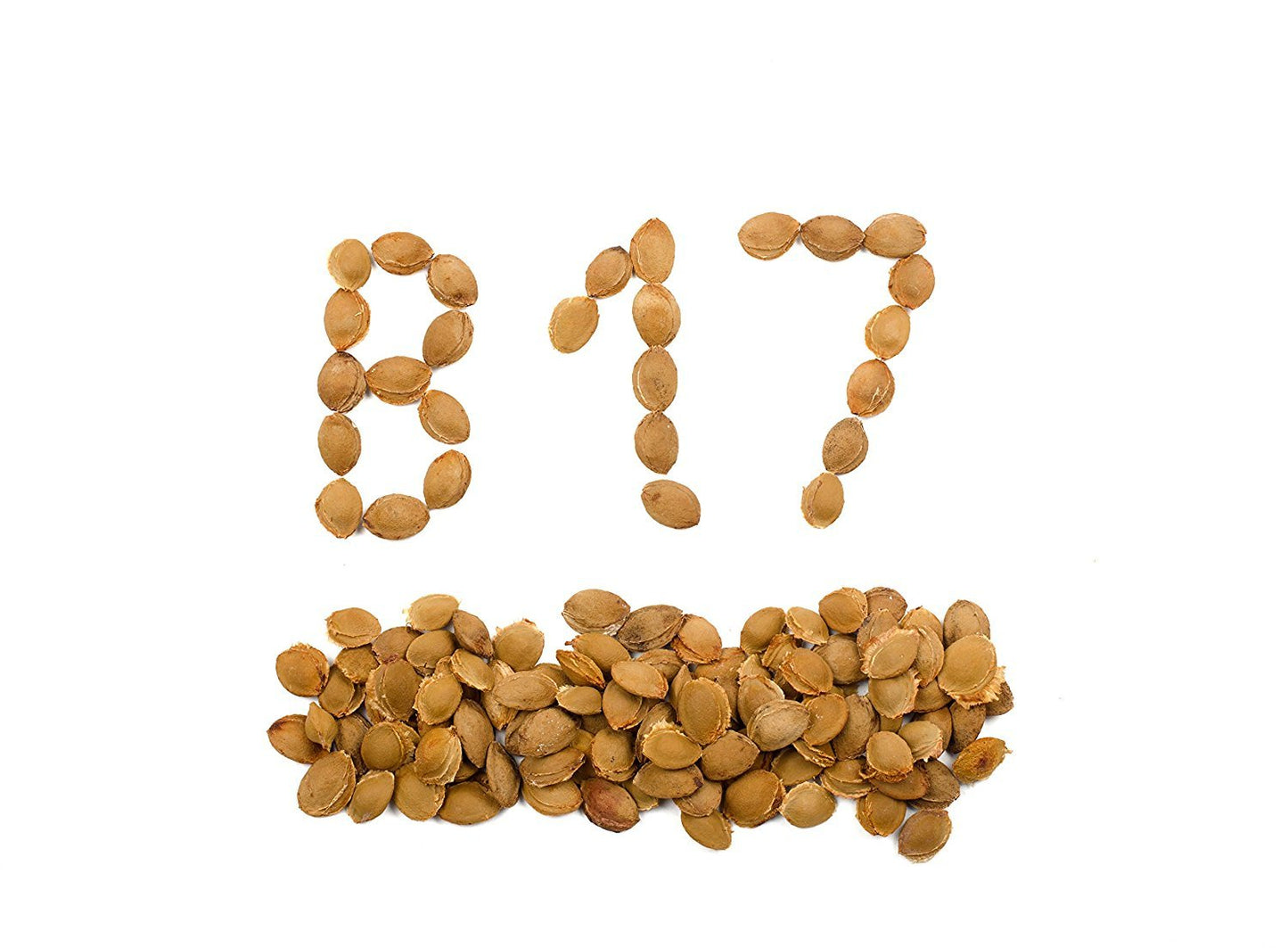 4LBS/ 1.8KG  - BITTER RAW APRICOT KERNELS