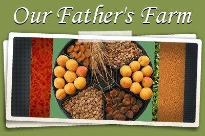 4LBS/ 1.8KG  - BITTER RAW APRICOT KERNELS